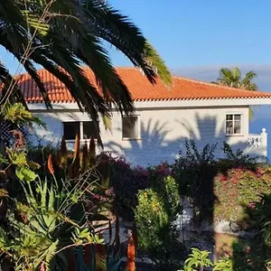 Larnia De Tenerife , El Sauzal Espagne